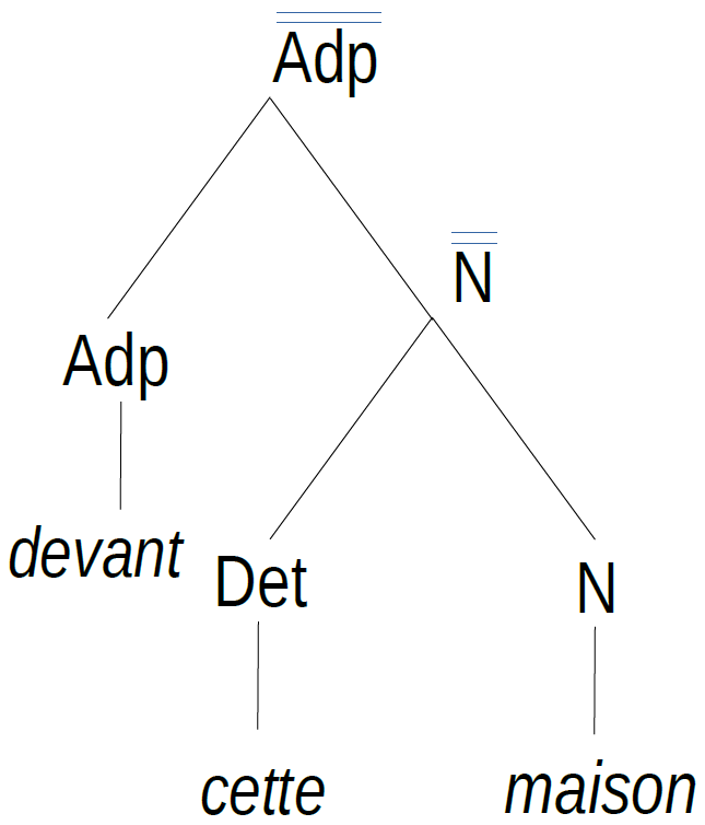 Arbre syntagmatique du syntagme *devant cette maison*