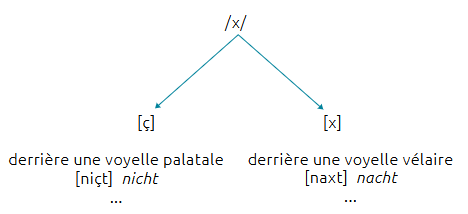 double flèche allant vers le bas ; une vers la droite et l'autre vers la gauche