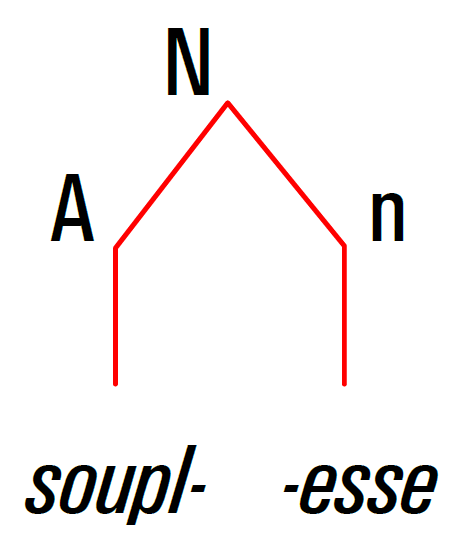 arbre syntagmatique souplesse