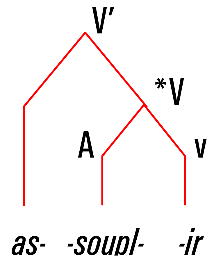 arbre syntagmatique assouplir