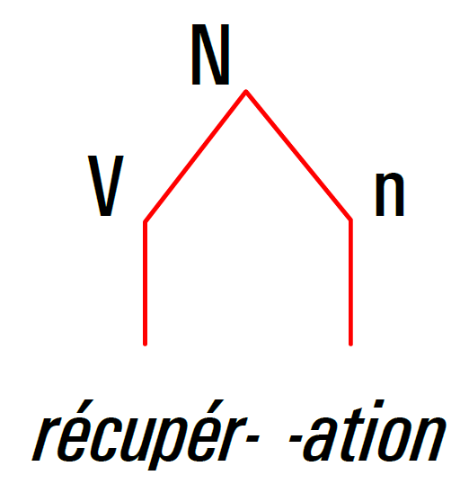 arbre syntagmatique récupération