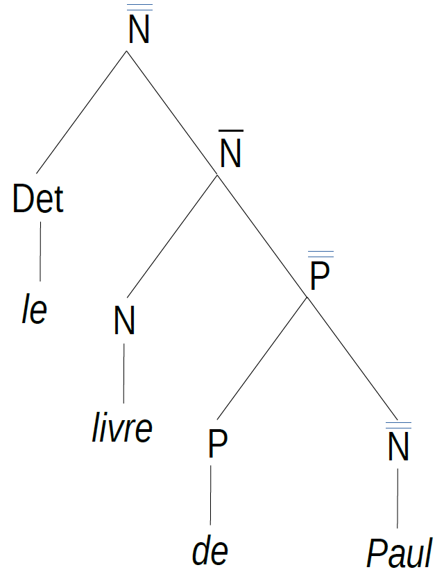 Arbre syntagmatique du syntagme nominal *Le livre de Paul*