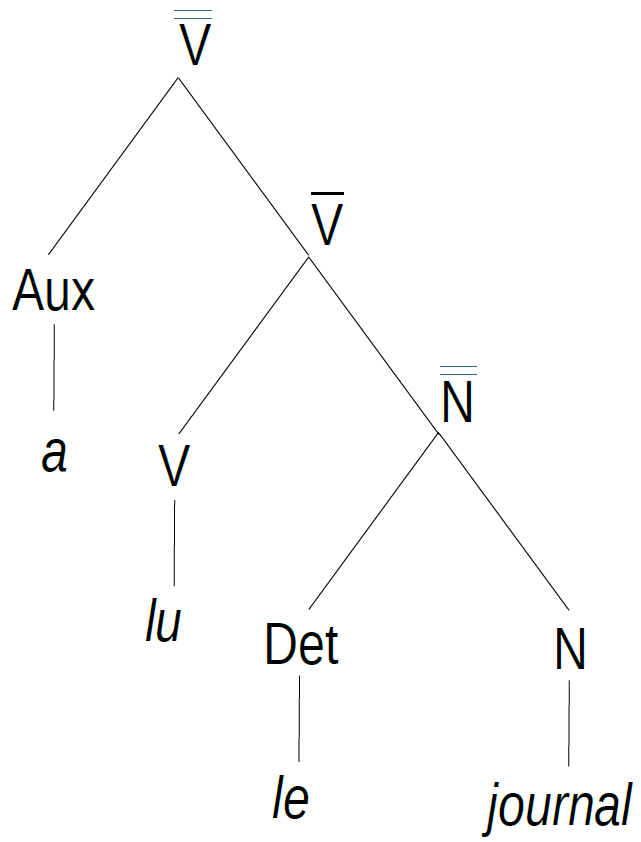 Arbre syntagmatique du syntagme verbal *a lu le journal*