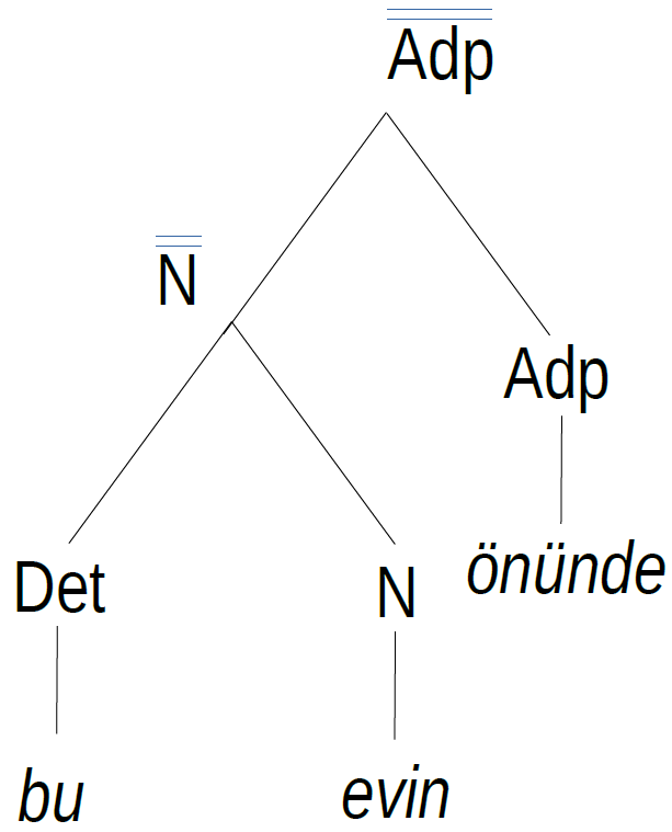 Arbre syntagmatique du syntagme *bu evin önünde*