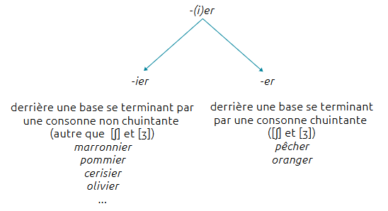 double flèche allant vers le bas ; une vers la droite et l'autre vers la gauche