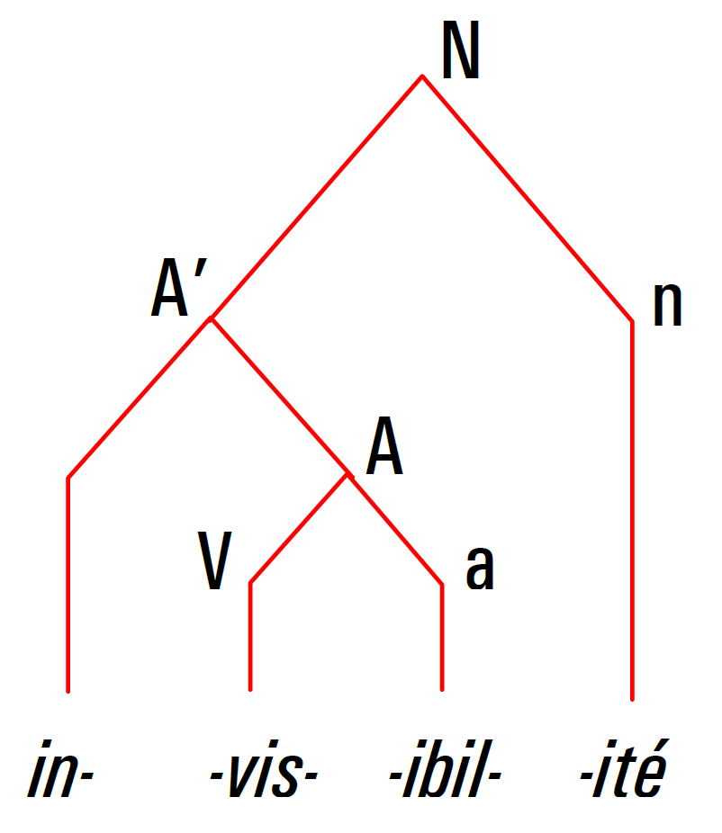 arbre syntagmatique invisibilité